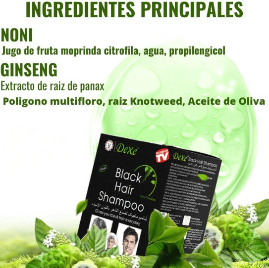 🧴🌈Shampoo Cubre Canas – Pack de 10 Unidades 🔟✨👵👨🦳➡️🧑🦰💁♀️